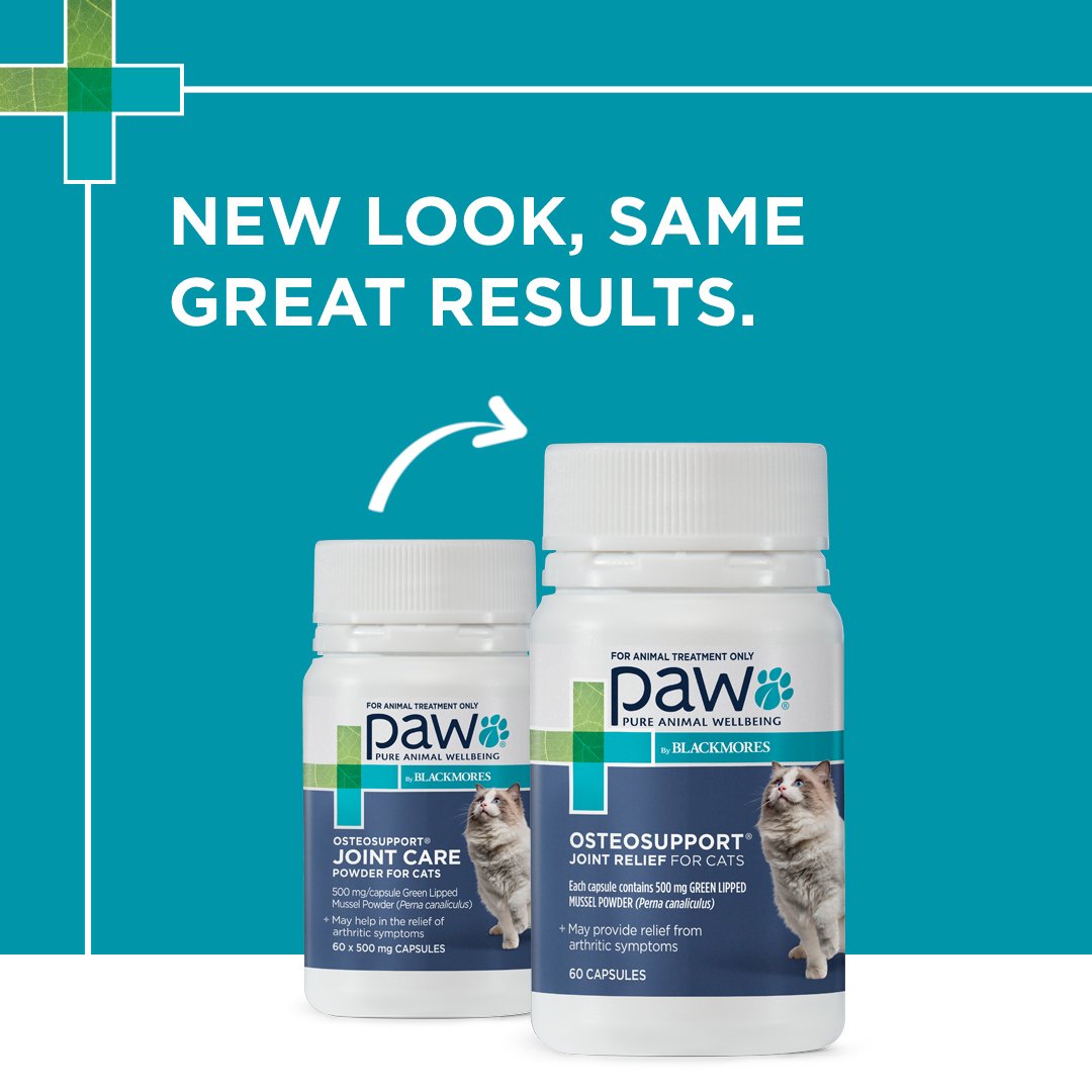 PAW_OsetoSupport Joint Releif for Cats New Look