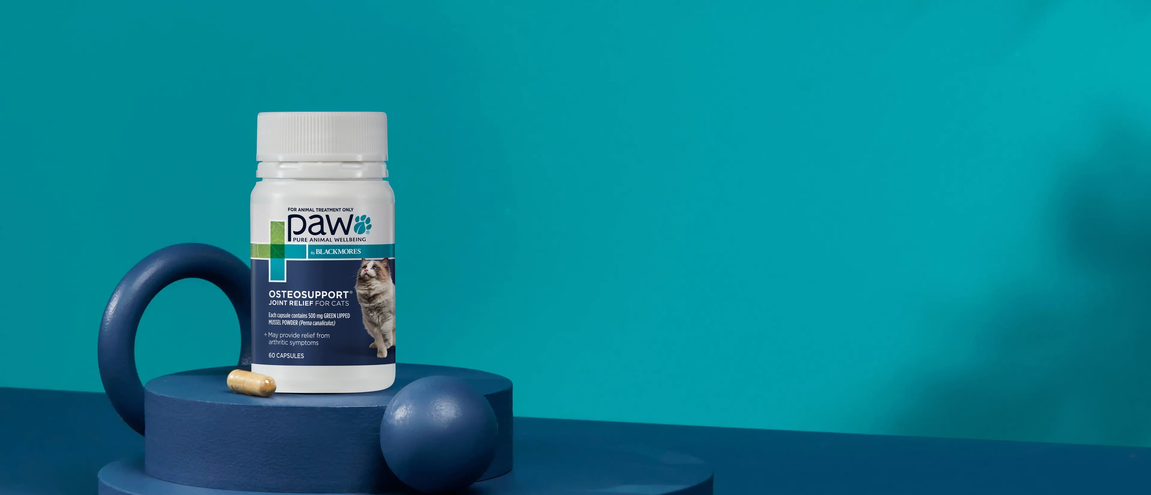 PAW osteo-joint relief cats_product-header-banner_5064x2179