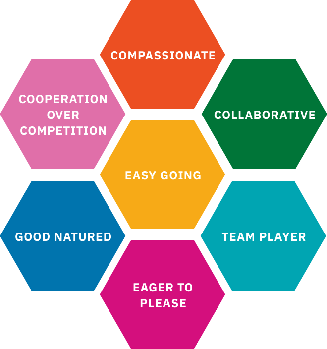 Characteristics of the harmoniser personality