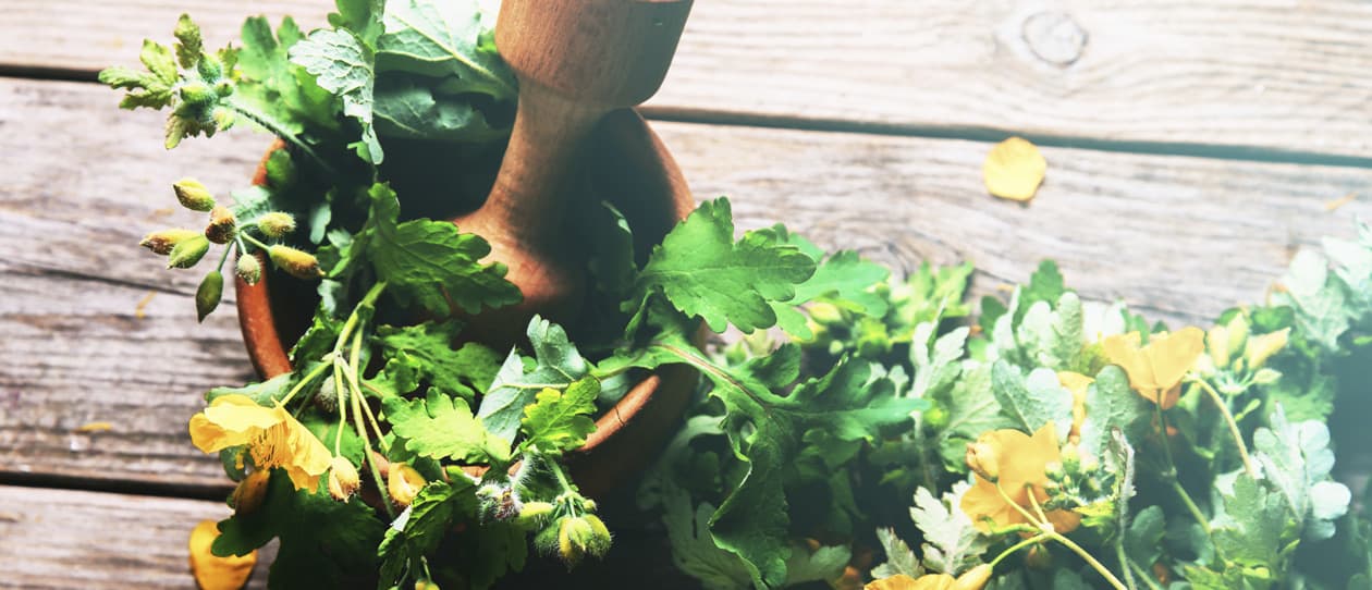 Looking to boost your knowledge about complementary medicine this year?