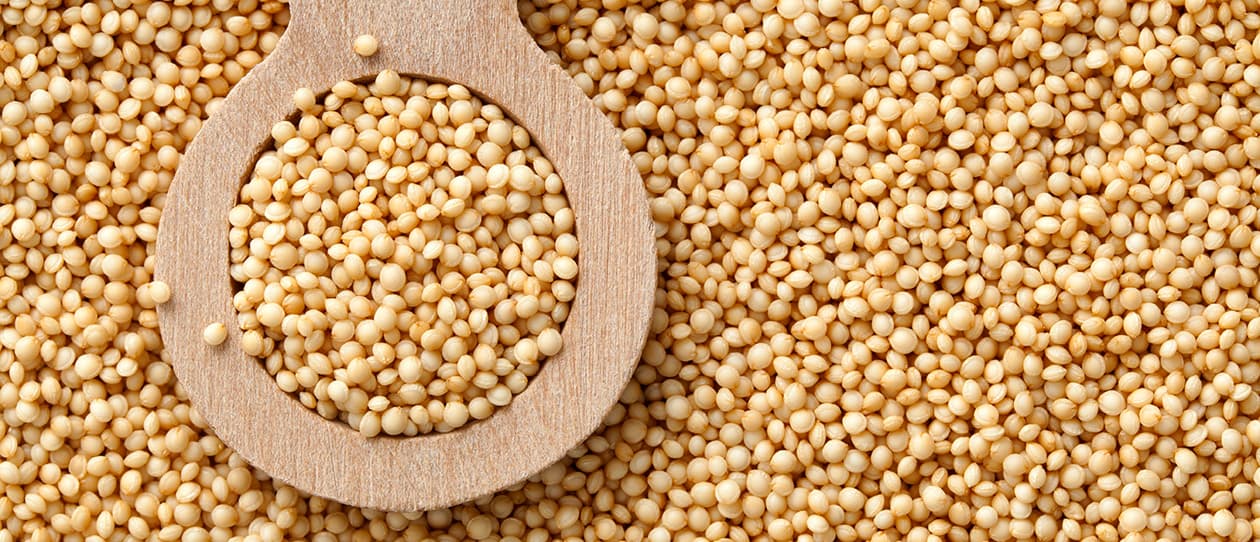 Cooking with gluten free grains