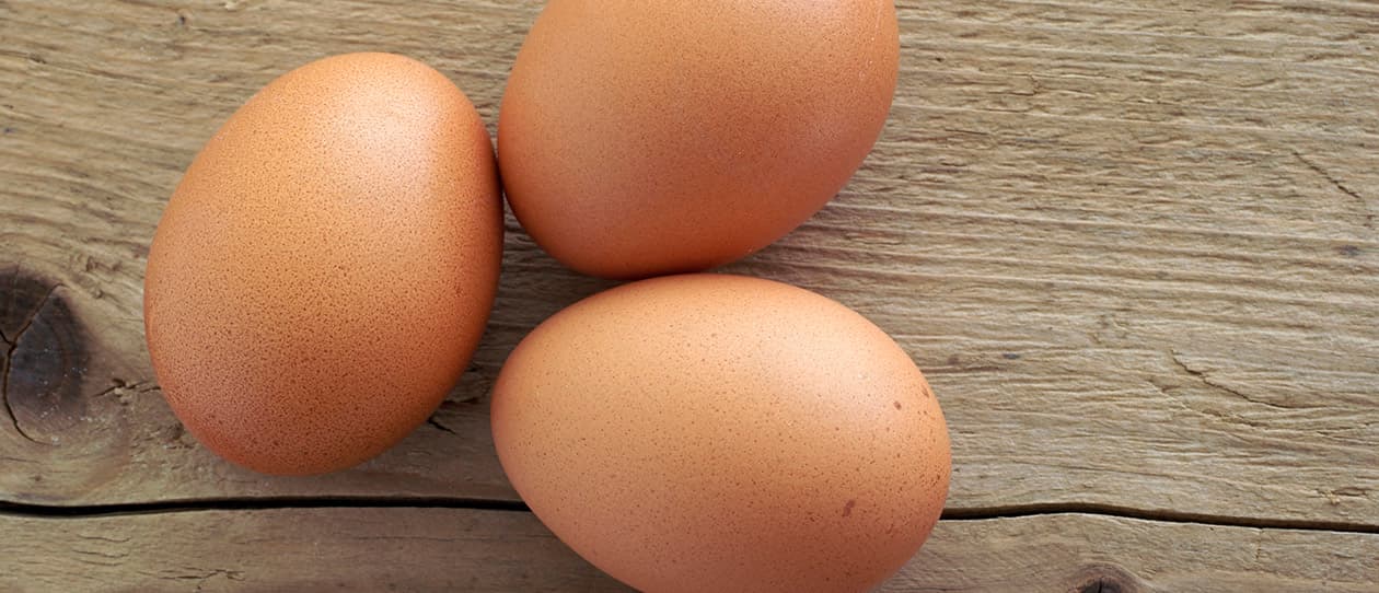 Eggs back on the menu for weight loss