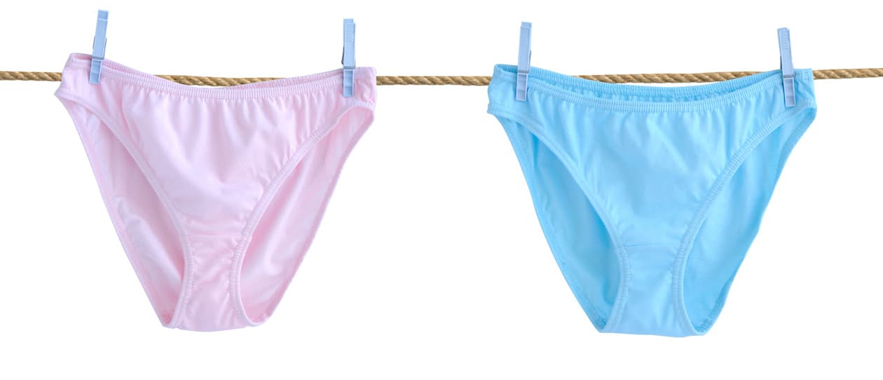 isitfungusorbacteriamain