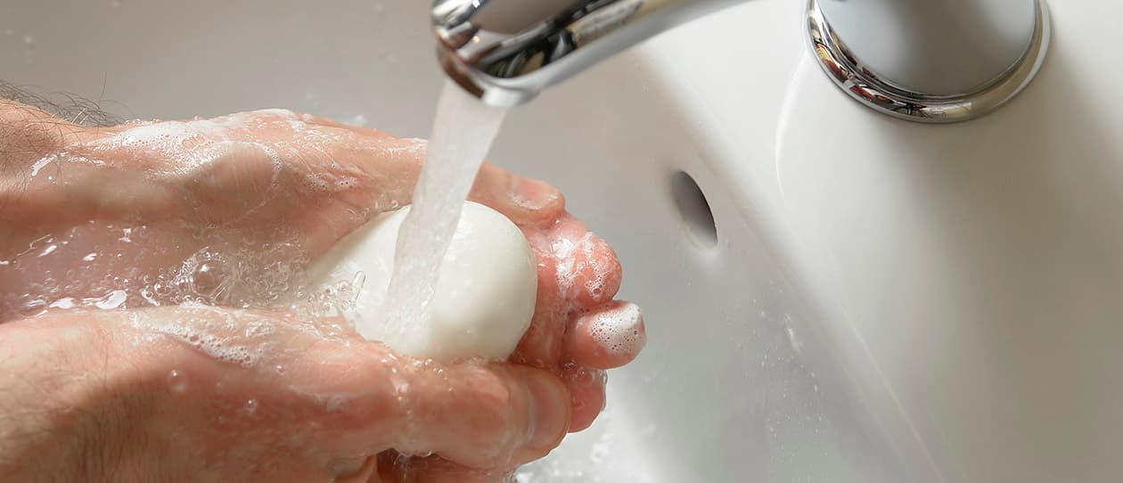 Keeping winter nasties at bay 1260x542