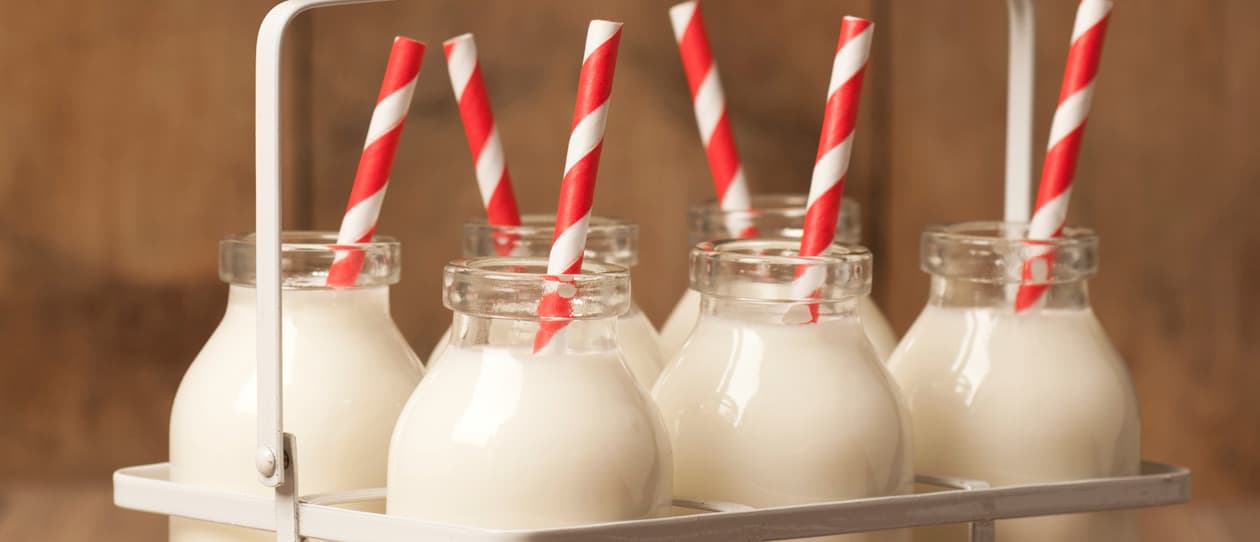 Lactoseintolerancemain