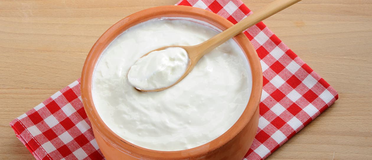 Not all good bacteria are created equal 1260x542