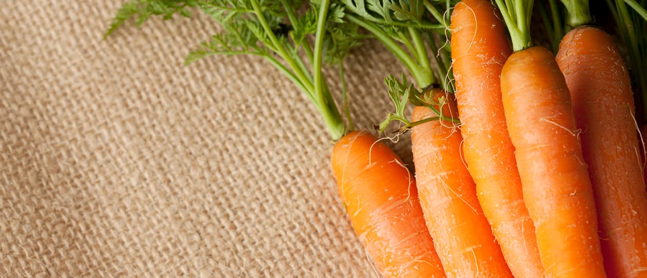 six natural brain builders for 2012 1260x542