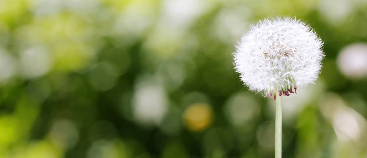 Spring clean your life 1260x542