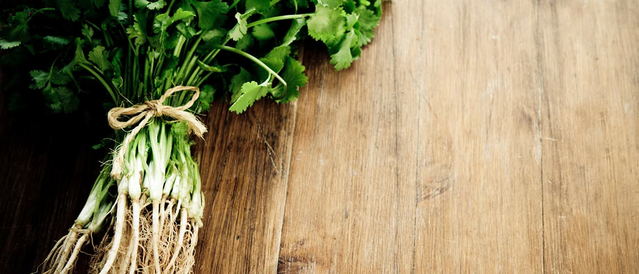 The wonder herb 1260x542