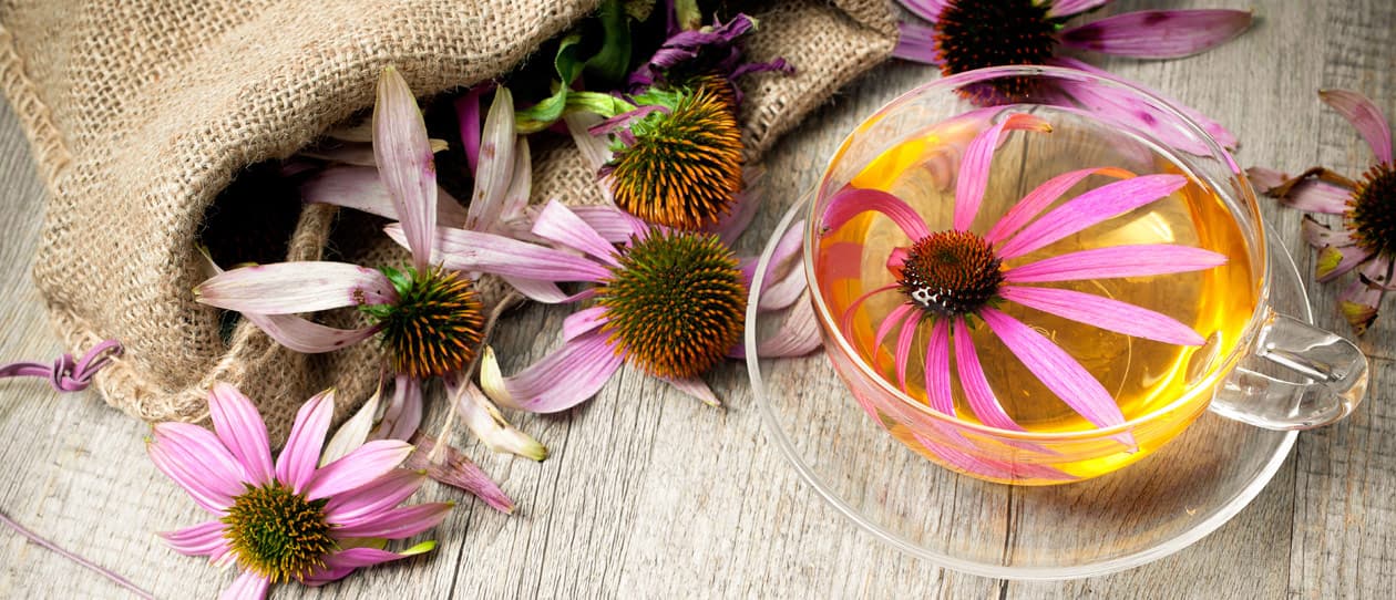 theulcerambulancemain