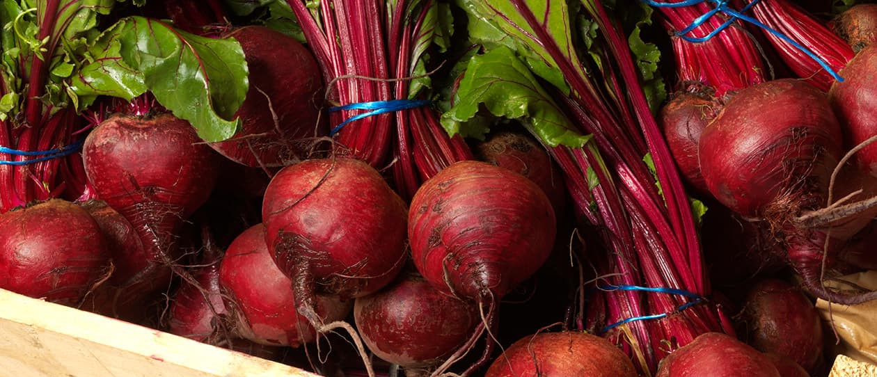 Why scientists are interested in phytonutrients 1260x542