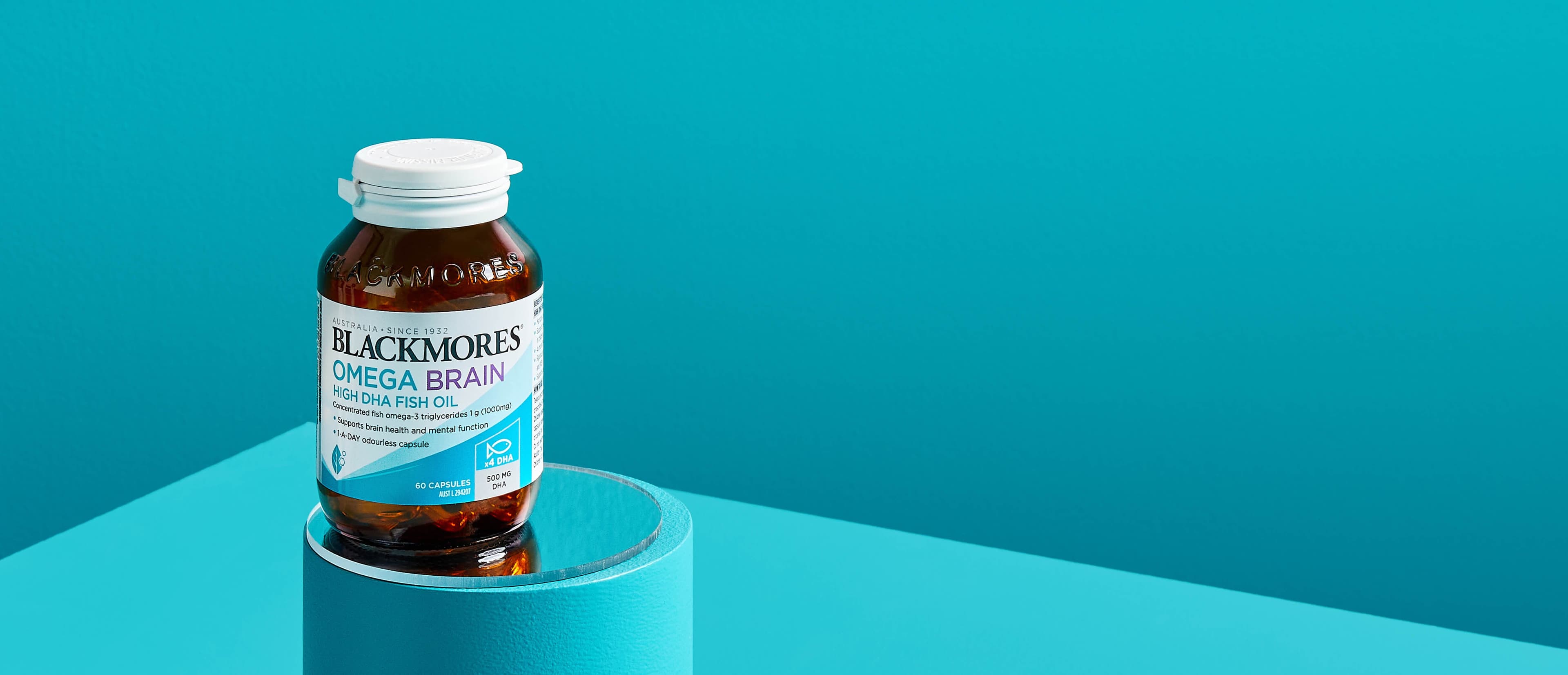 Omega Brain High DHA Fish Oil Product Header Banner